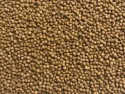 TANKED NATURAL Goldfish & Koi Pellets 4.5kg 2mm Floating Fish Food Pond Tank