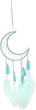 FUTUREORYY Woven Dream Catcher Wall Hanging Tapestry with Tassel Adornments Delicate Home Decor for Bedroom Lightweight and Easy to Hang
