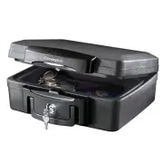 SentrySafe 0.17-cu ft Fireproof and Waterproof Safe Box with Keyed Lock H0100