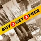 BUY 2 GET 2 FREE Botanical Bohemian Home Decor - Wild Pampas Grass Room Decor