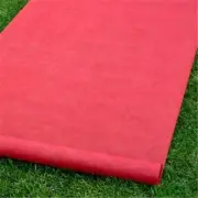 Hortense B Hewitt 30056 Red Blank Aisle Runner