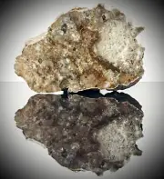 NWA 11182 (9.0g) Lunar Feldsp. Breccia Meteorite, Polished End Cut, Paired