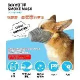 在飛比找遠傳friDay購物優惠-寵物狗狗外出專用防病毒口罩3入(口罩 寵物 寵物外出用品)
