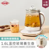 在飛比找PChome24h購物優惠-【小太陽】智慧溫控玻璃養生壺 TE-60 快煮壺【AB108