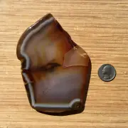 Agate Geode Rock Slice Thick Cut Polished Stone Brown Gray Banded Crystal 5.25"