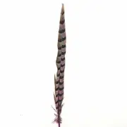 18" to 20" Reeves Pheasant Tail Feather - Pink