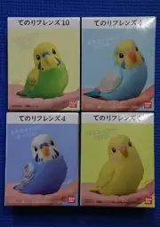 Nature Technicolor Japan Frog Special Edition 6 types (Tokyo Dalma Frog Japane