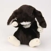 在飛比找蝦皮購物優惠-日本製STAR CHILD 垂耳兔 兔子 娃娃 絨毛 玩偶 