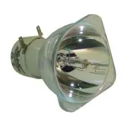 Philips Bare Projector Lamp For Infocus SP-LAMP-045