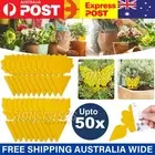 Up to 50pcs Dual Sided Strong Sticky Trap Insect Killer Fruit Fly Trap Gnat MEL