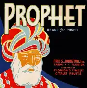 Tampa Florida Prophet Orange Citrus Fruit Crate Label Print