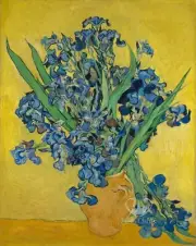 A1 Irises in Gold by Posh Chalk Decorative Furniture Decoupage Rice Paper