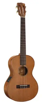 Ukulele - Master series - Baritone - Acoustic / electric