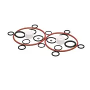 O-RING AND BEARING KIT 2208277 - Genuine OEM Replacement Part