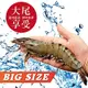 買3送3【海陸管家】嚴選鮮凍特大草蝦共6盒(每盒8隻/淨重約280g)