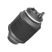 For 2002-2009 Toyota 4Runner Air Suspension Spring Rear Right Unity 2003 2004 (for: Toyota)