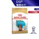 【ROYAL CANIN 法國皇家】臘腸幼犬專用乾糧(DSP_1.5kg)｜皇家粉絲團 臘腸犬飼料 臘腸狗飼料 幼犬飼料