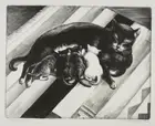 The Family [cats] : Mabel Dwight : 1928 : Archival Quality Art Print to Frame