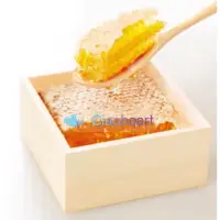 在飛比找蝦皮購物優惠-預購》日本空運直送 杉養蜂園 蜂巢禮盒 巢房蜜 最純正的蜂蜜