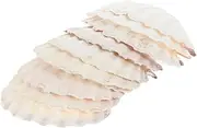 TEHAUX 10Pcs Natural Plates for DIY Crafts Unique Shell Decorations for Food Serving Home Decor and Photo Props