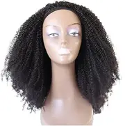 Afro Kinky Curly Wig,Remy Human Hair Glueless Wear for Women No Glue Beginner Friendly Natural Black Color(200%,22inch)