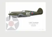 Warhead Illustrated P-40C Tomahawk 47th PS, 15th PG USAAC Pearl Harbour Print