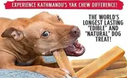100% GENUINE Himalayan Dog Chew Treat Bone Cheese Yak FRESH-12 Pcs Small Size