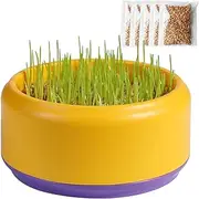 Cat Grass Planter for Indoor Cats | Layered Hydroponic Cat Grass Box | Soilless Culture Cat Grass Growing Kit