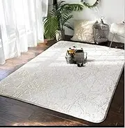 Velvet Bronzing Living Room Carpet Bedroom Bedside Carpets Home Decor Plush Rug Anti-Skid Water Absorption Mat,A,80x160cm