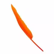 Goose Flight Wing Feather x 5 pcs - Orange ((SECONDS))