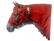 Schneiders Dura-Nylon Breathable Horse Sheet Hood SZ MED RED