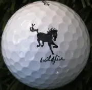 WildFire Golf Club Titleist ProV1 logo ball new #7590