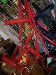 Biothane Bitless Bridle