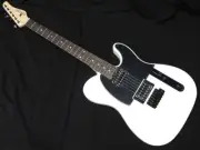 Schecter guitar Shipped from Japan Good condition Free shipping