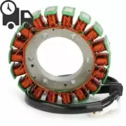 Generator Magneto Stator Coil Fit Speedmaster Scrambler 865 06-07 TT600