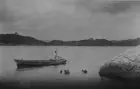 Japanese Ama pearl divers off Mikimoto Pearl Island in Ise Bay offs- Old Photo 1