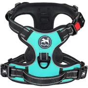 Adjustable pet leash with 2 leash clips, choke-free reflective Oxford outdoor vest, padded handle for easy maneuvering (Mint Blue,M)