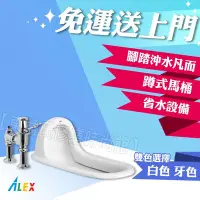 在飛比找Yahoo!奇摩拍賣優惠-ALEX 電光牌 AC5125-B 蹲式馬桶 蹲便 腳踏沖水