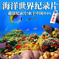 在飛比找蝦皮購物優惠-【臺灣熱款】海洋世界兒童科普恐龍視頻海洋海底生物世界魚群珊瑚