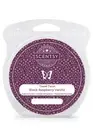 Black Raspberry & Vanilla Travel Twist Scentsy