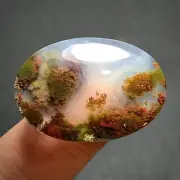 Scenic Moss Agate Cabochon 26.4x18.4x4.8mm Good Quality 19 ct