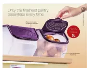 Tupperware ( 8 sets 3L ) Smart Container Garlic N All Potato Keeper Storage