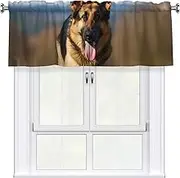 LHBWCVN Running German Shepherd Dog Valances for Windows, Rod Pocket Window Treatment Drapes Farmhouse Kitchen Curtains Short Blackout Window Curtains for Living Room Bedroom Decor 54x18 Inch