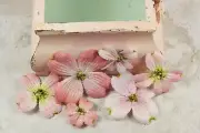 NEW Prima "Calcutta - Dogwood" 539566 Burlap Fabric Flowers with Stamens Centers