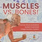 Muscles vs. Bones! Human Musculoskeletal System Examined Integumentary System Gr