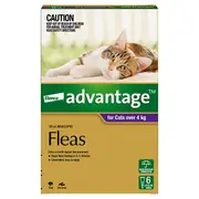 Advantage Flea Pipette Purple For Large Cat