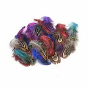 Mix Colour 50pcs Natural Colour Pheasant Feathers 5-8cm DIY Wedding Craft Party Decorations