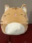 Squishmallow 12 inch Nathan the Tabby Cat with Closed Eyes BNWT