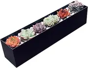 Modern Metal Steel Trough Planter - Rectangle Planters for Indoor Planters - 16" Window Sill Planters - Table or Window Boxes Planter - Windowsill Herb Planter