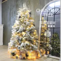 在飛比找樂天市場購物網優惠-聖誕樹 加密圣誕節裝飾品網紅家用落雪大型白色圣誕樹小型場景布